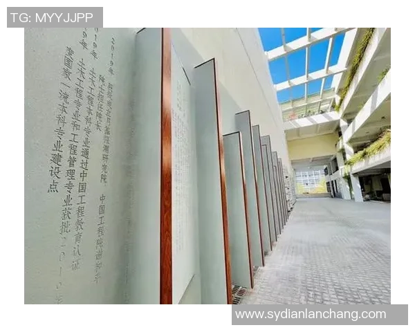 深圳排球队防反战术创新探索与实践的深度剖析与未来展望 深圳排球队防反战术创新探索与实践的深度剖析与未来展望