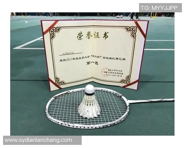 深圳羽毛球队实力分析与表现评估探讨 深圳羽毛球队实力分析与表现评估探讨